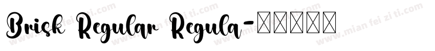Brisk Regular Regula字体转换